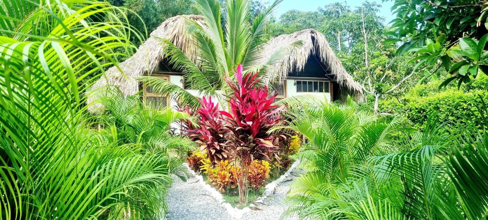 Encanto Hostel Guachaca Exterior photo
